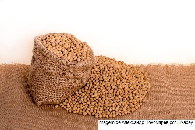USDA: Embarques de soja na temporada 22/23 superam em 3% mesmo período do ano anterior