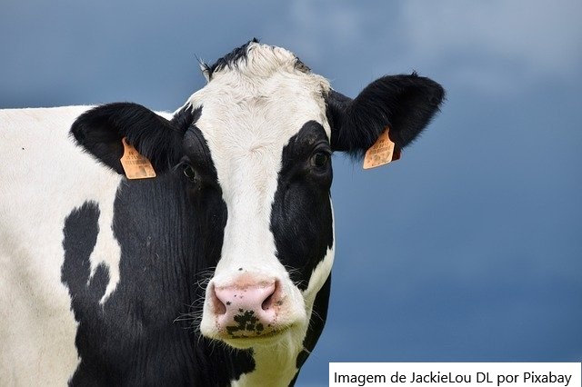 NZ – Fonterra revisa previsão de captação de leite