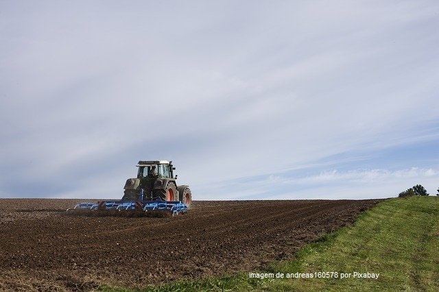 O valor bruto da produção agropecuária de Rondônia deve ser quase 13% maior em 2021