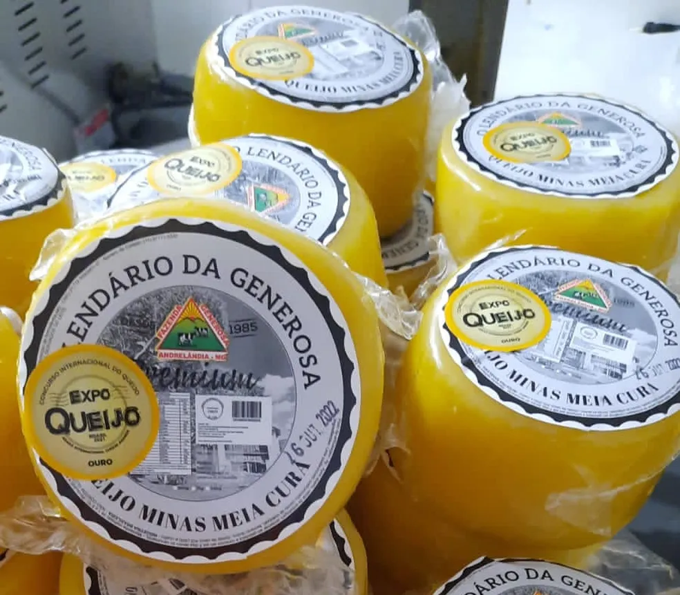Dia Mundial do Queijo: conheça queijos mineiros premiados internacionalmente