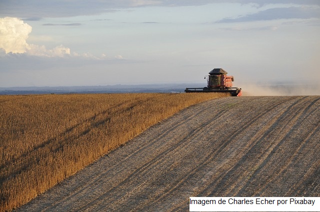 VBP agropecuário de Minas cresce 7,2% até setembro Apresentação: Terra Viva