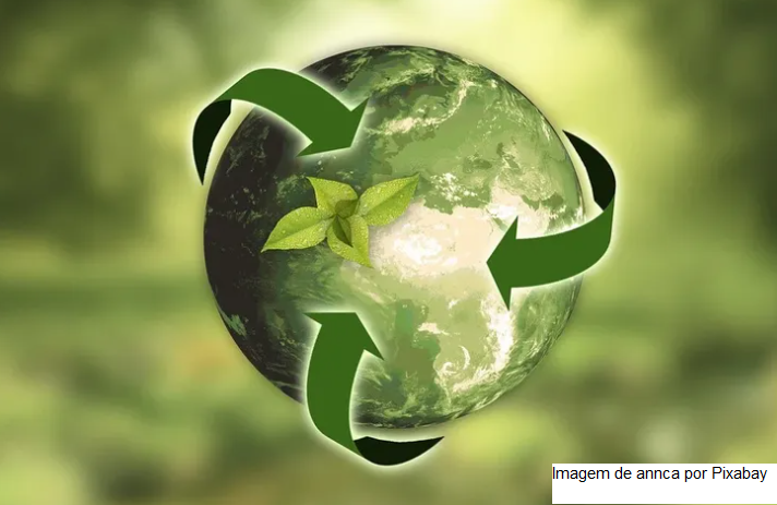 Climatech quer resgatar transparência do crédito de carbono