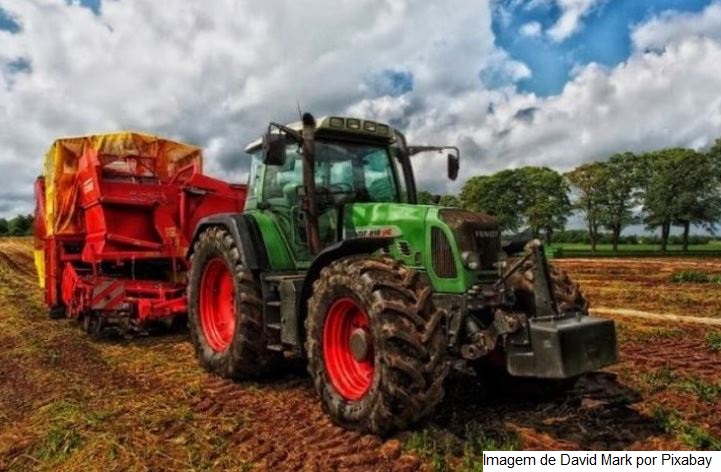 Pragas, falta de mão de obra e desperdícios: como superar os desafios que persistem no campo