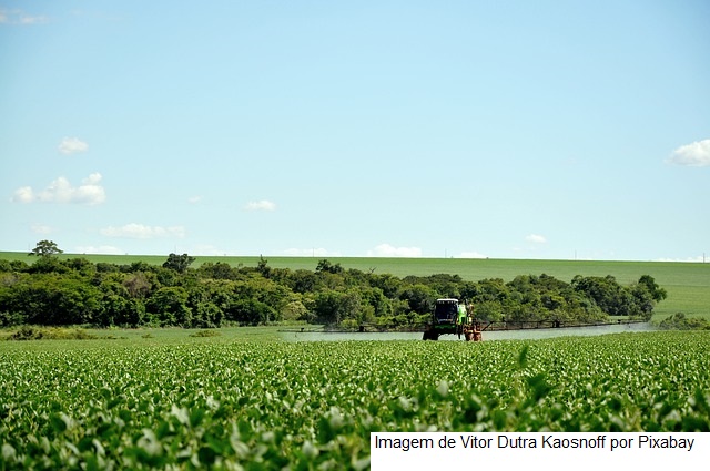 USDA traz nova redução na qualidade das lavouras americanas de soja e milho