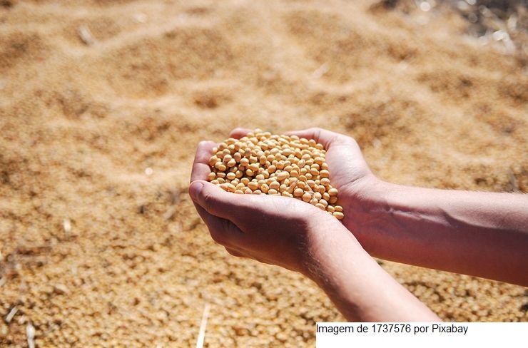 SOJA/CEPEA: Chuva traz alívio a produtores do Centro-Oeste e Sudeste