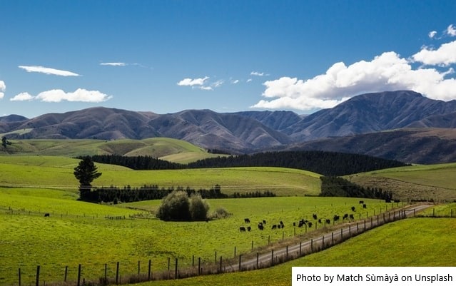 NZ – Plantas da Fonterra no pico de produção