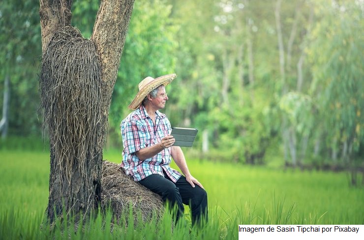 AgroNordeste digital vai promover inovação no agro do semiárido brasileiro