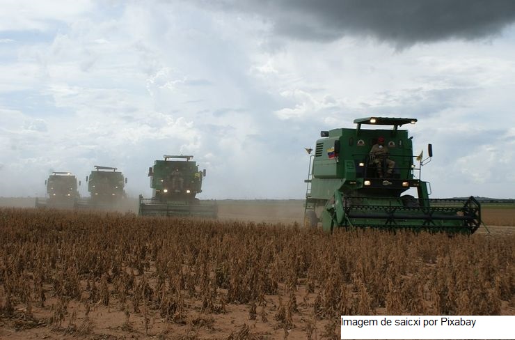 PIB da soja e do biodiesel no Brasil pode subir 20% em 2023