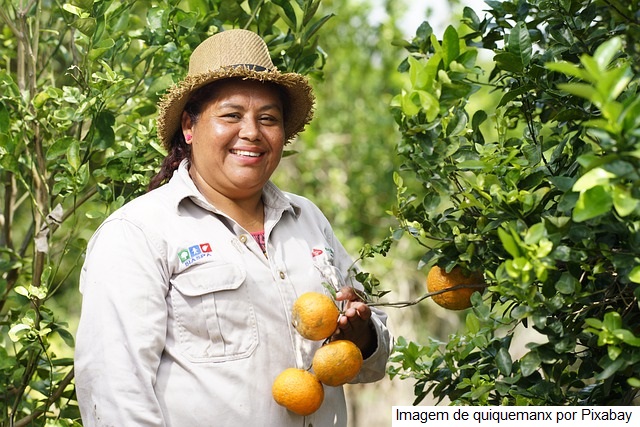 Mulheres mostram força, capacidade e espírito empreendedor nos programas sociais ligados às atividades agropecuárias em Goiás
