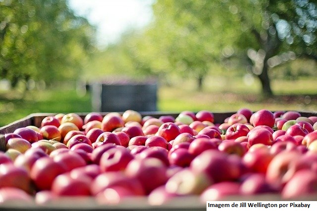 CNA e FAO defendem aumento do consumo de frutas e hortaliças