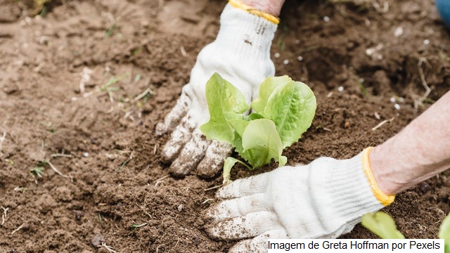 Dia do Agricultor: novo perfil do homem do campo impulsiona novas práticas