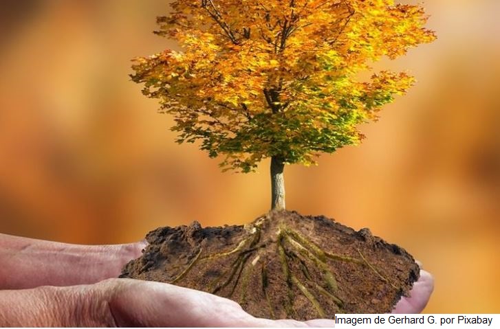 Clima afetou desempenho da agropecuária no 2º trimestre de 2021, avalia CNA