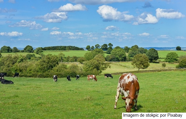 Ministra defende protagonismo do Brasil na agricultura de baixa emissão de carbono