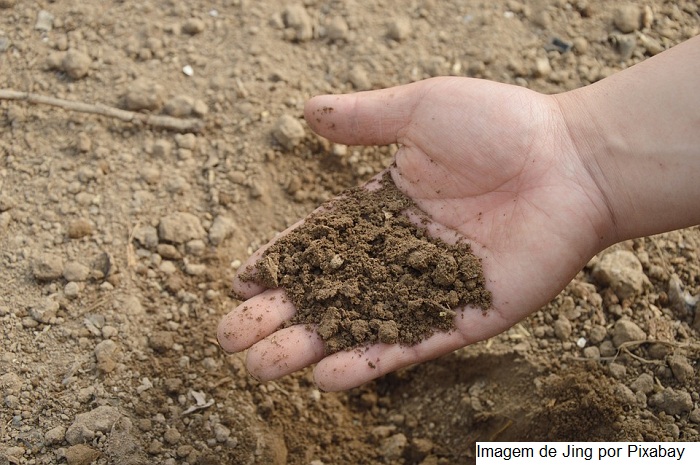 Senado segue debate sobre ameaça de falta de fertilizantes para safra
