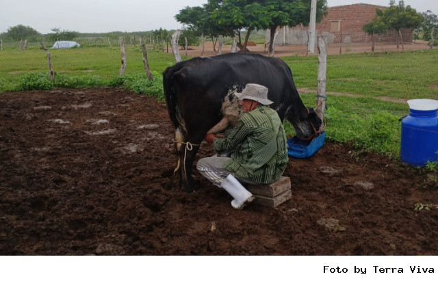 1° Capítulo - A Concentração avança sobre realidade do produtor nas faixas de 50 a 200 litros de leite dia