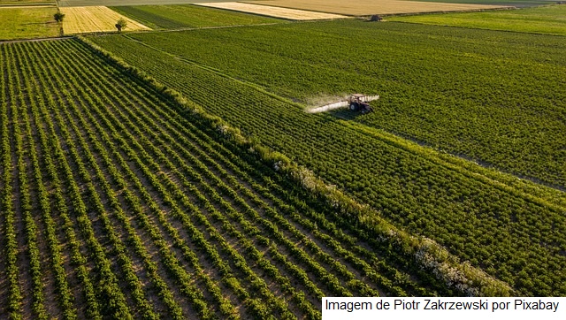 GT da Agricultura promove visibilidade global da agropecuária brasileira