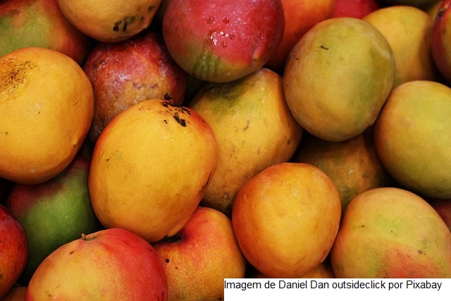 Brasil bate recorde histórico com mais de US$ 1,21 bilhão em exportação de frutas em 2021