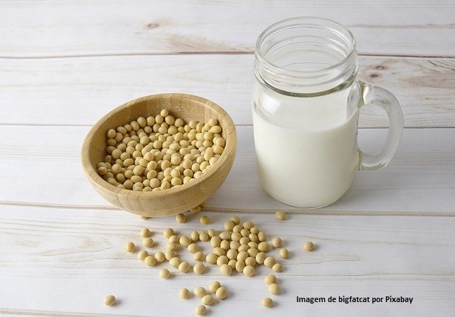 Empresa sueca de alternativas não lácteas Oatly Group prepara seu IPO