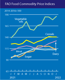 FAO – Os preços dos alimentos subiram em janeiro