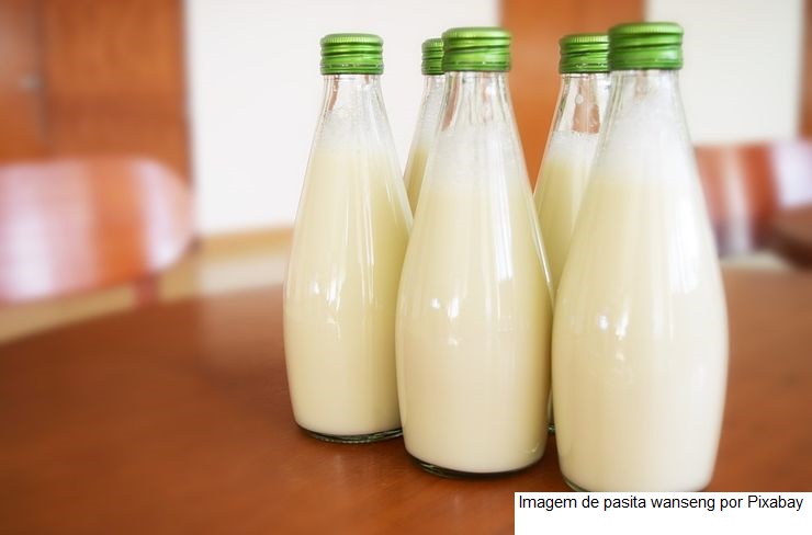 Prevenção de doenças e mais: saiba os benefícios dos laticínios