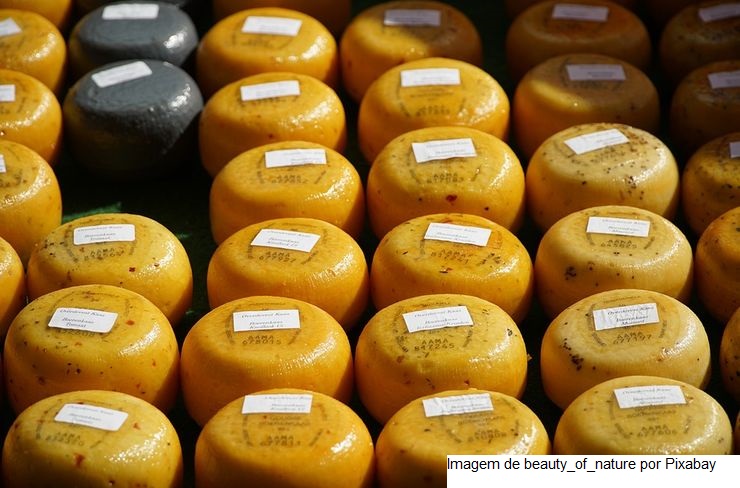 Grupo identifica novos probióticos em queijos tradicionais brasileiros