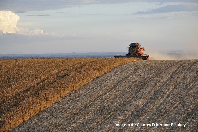 Paraná exporta menos soja no 1º quadrimestre, mas produtor tem remuneração maior