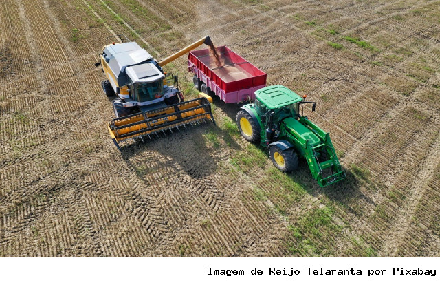 Agricultores de MS levam alimentos para o mundo e movimentam bilhões