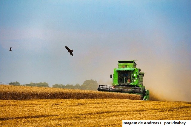 Agronegócio registrou superávit de US$ 10,1 bilhões em julho