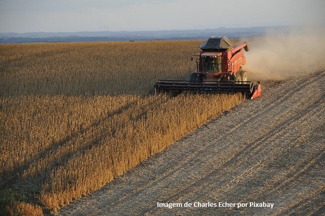 Produção de grãos crescerá 27% nos próximos dez anos, chegando a 333 milhões de toneladas