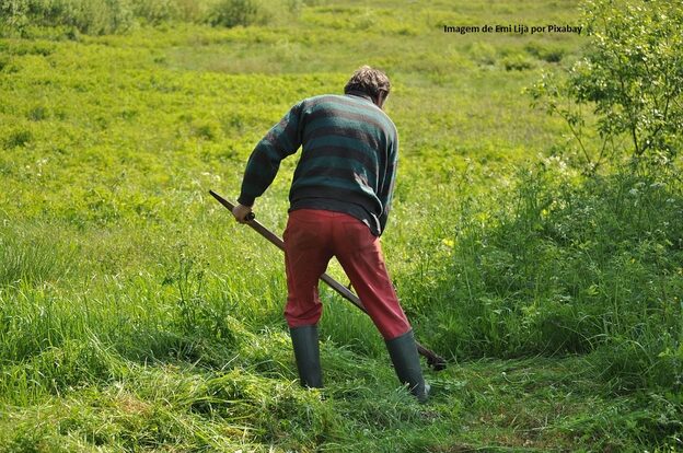 Empregos no agro têm melhor resultado em 9 anos
