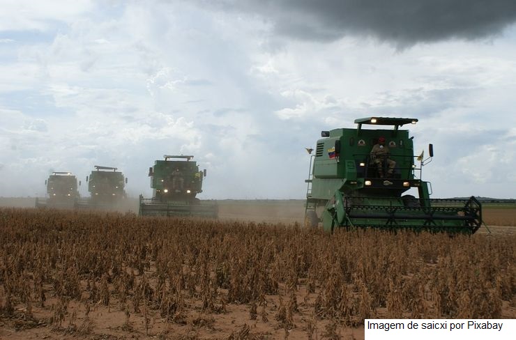 Após dois meses de baixa, exportação de soja em grão reage em março