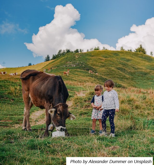 Consumidores valorizam mais o bem-estar animal do que a sustentabilidade ambiental