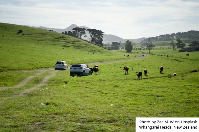 Fonterra prevê preço inicial de NZ$ 10 na nova temporada