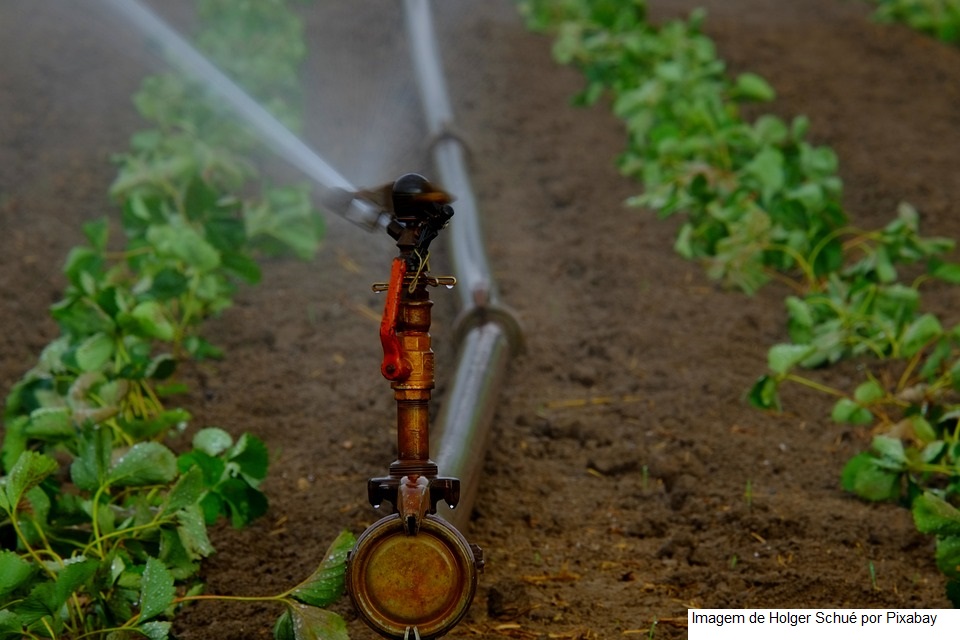 Dia Mundial da Água: agro paulista lançará plano de irrigação agrícola