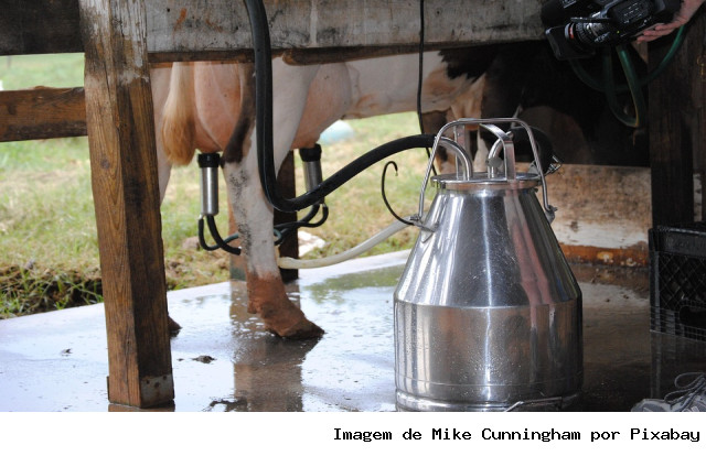 Chapecó sedia evento sobre pecuária de leite entre os dias 14 e 16 de outubro