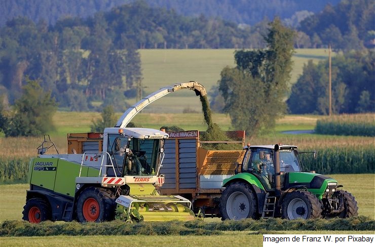 SILO CINCHO: Opção de baixo custo para conservação de forragem na agricultura familiar