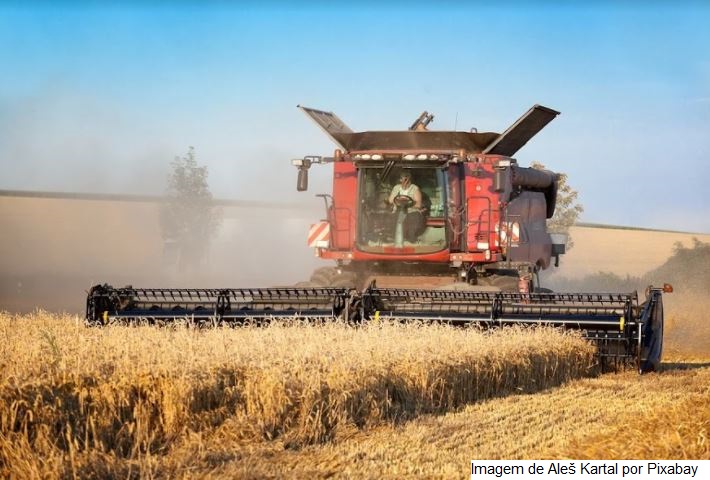 Mato Grosso do Sul: VBP da Agropecuária tem crescimento estimado em 18,29% em 2021