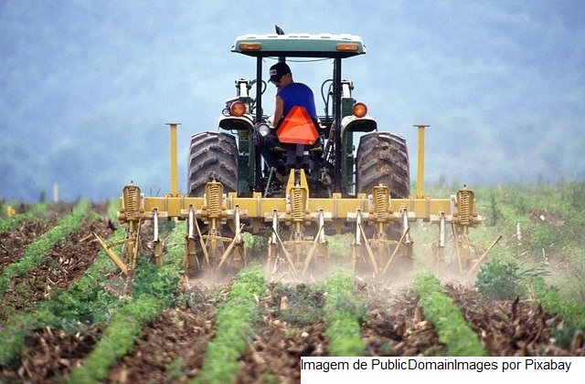 Agronegócio catarinense registra dois recordes em 2021: maior Valor de Produção Agropecuária e maior valor exportado