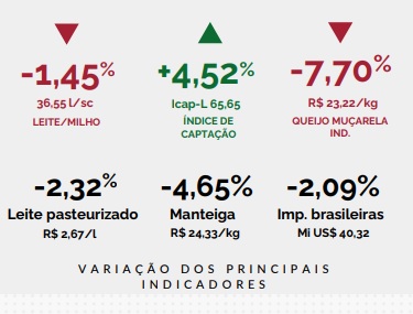 Preço do leite pago ao produtor recua em MT
