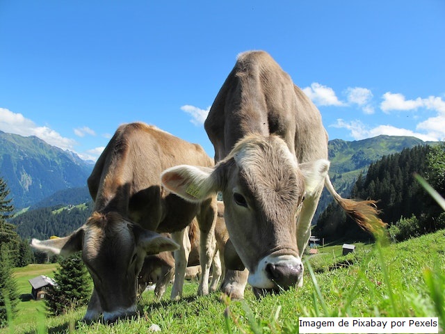 Produção de leite com baixo carbono: uma abordagem moderna e sustentável par a agricultura