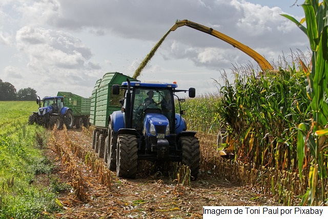 Agropecuária cria 195 mil empregos de janeiro a setembro