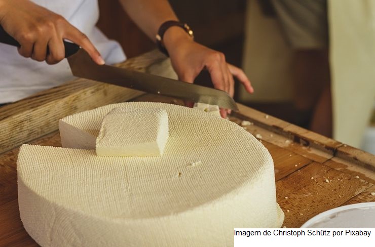 Projeto apoia mulheres produtoras de queijo na fabricação, regularização e comercialização