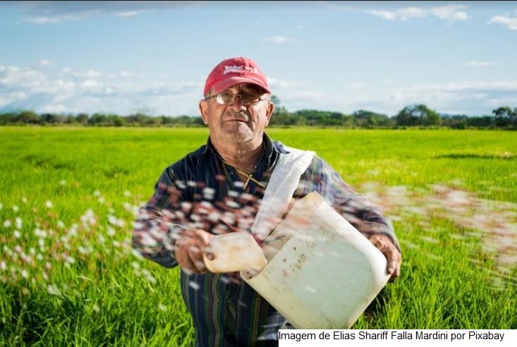 Comissão aprova projeto que incentiva venda de produtos da agricultura familiar