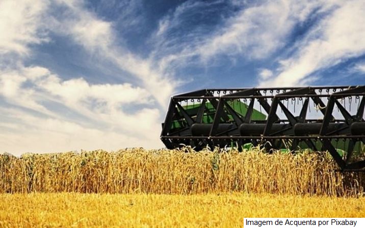 Estimativa indica aumento na produção de grãos na safra 2021/22, com previsão em 288,61 milhões de toneladas