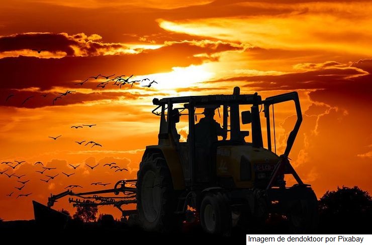Agro Paulista cresce em exportações e superávit aumenta 33,7% nos primeiros quatro meses de 2022
