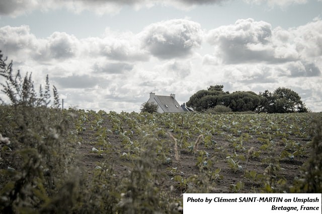 França – A Região da Bretanha adota estratégia para instalação e sucessão agropecuária