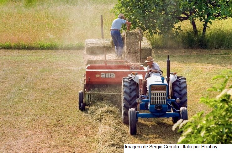 PIB-AGRO/CEPEA: Com queda de 2% no terceiro trimestre, PIB recua 4,28% no ano