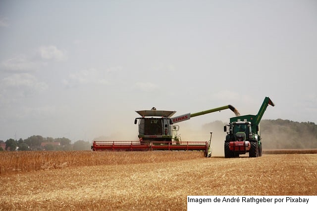 Em fevereiro, IBGE prevê safra de 323,8 milhões de toneladas para 2025