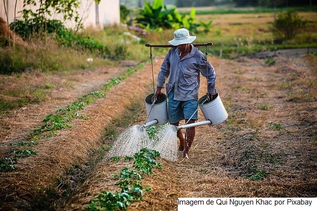 Alimenta Brasil é regulamentado com acesso de agricultor familiar ampliado para R$ 12 mil