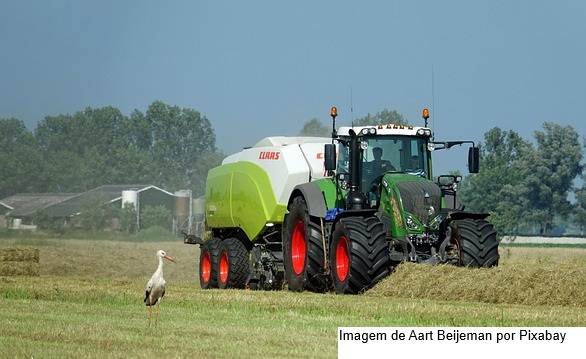Prosa Rural - Silagem de inverno para aumentar a produção de leite